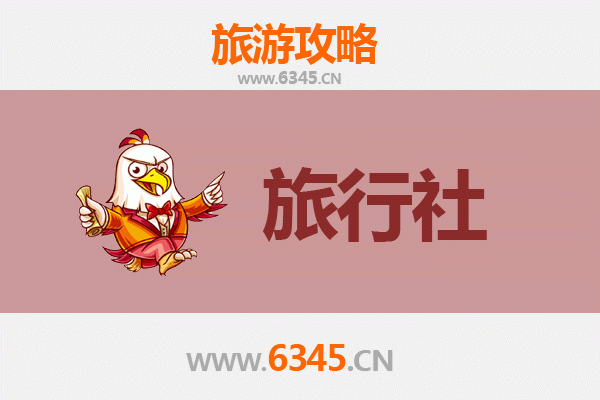 定安雷鸣镇本地旅行社推荐：深度探索海南岛的文化与自然之美