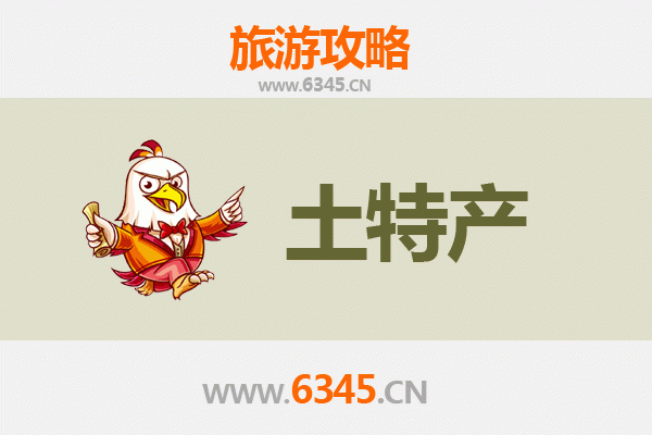 定安雷鸣镇旅游必带土特产推荐